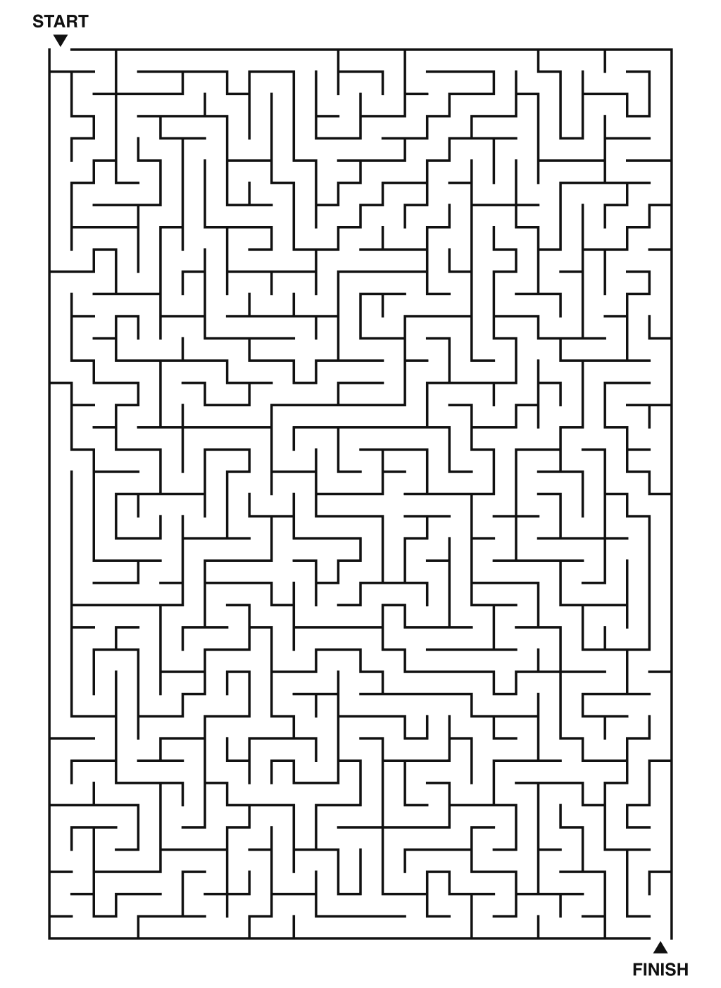 Brutal Maze Challenge For Adults