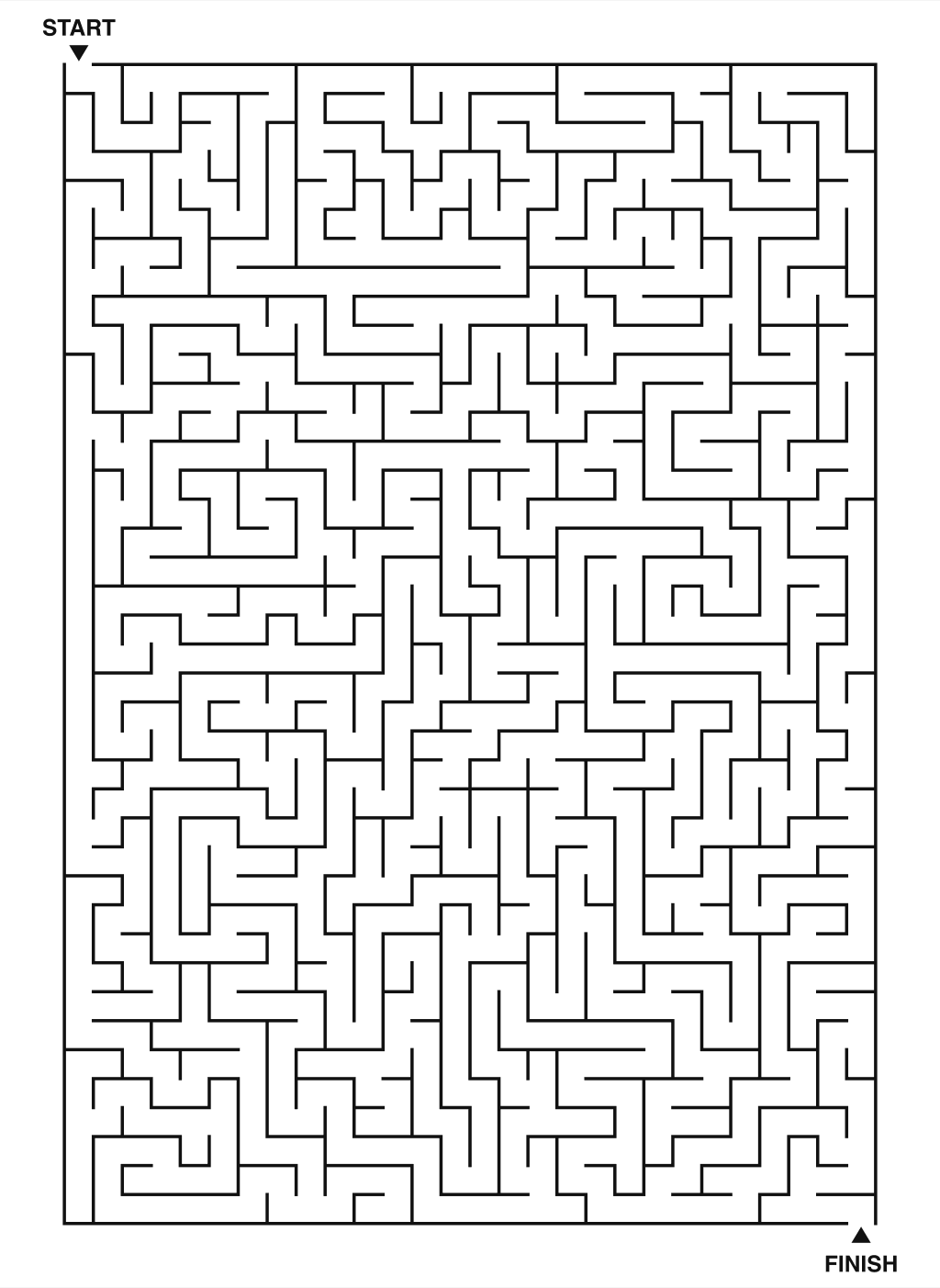 Brutal Maze Challenge For Adults (Expert)