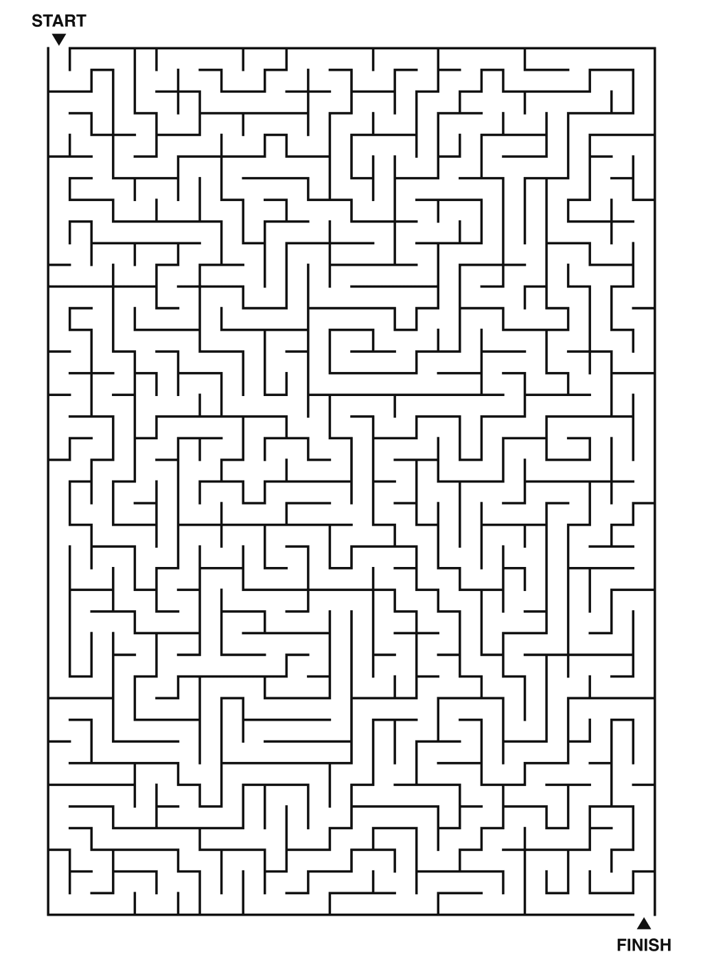 Expert Maze Challenge Activity (Expert)
