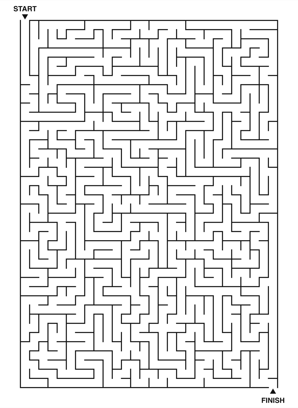 Expert Maze (Expert)